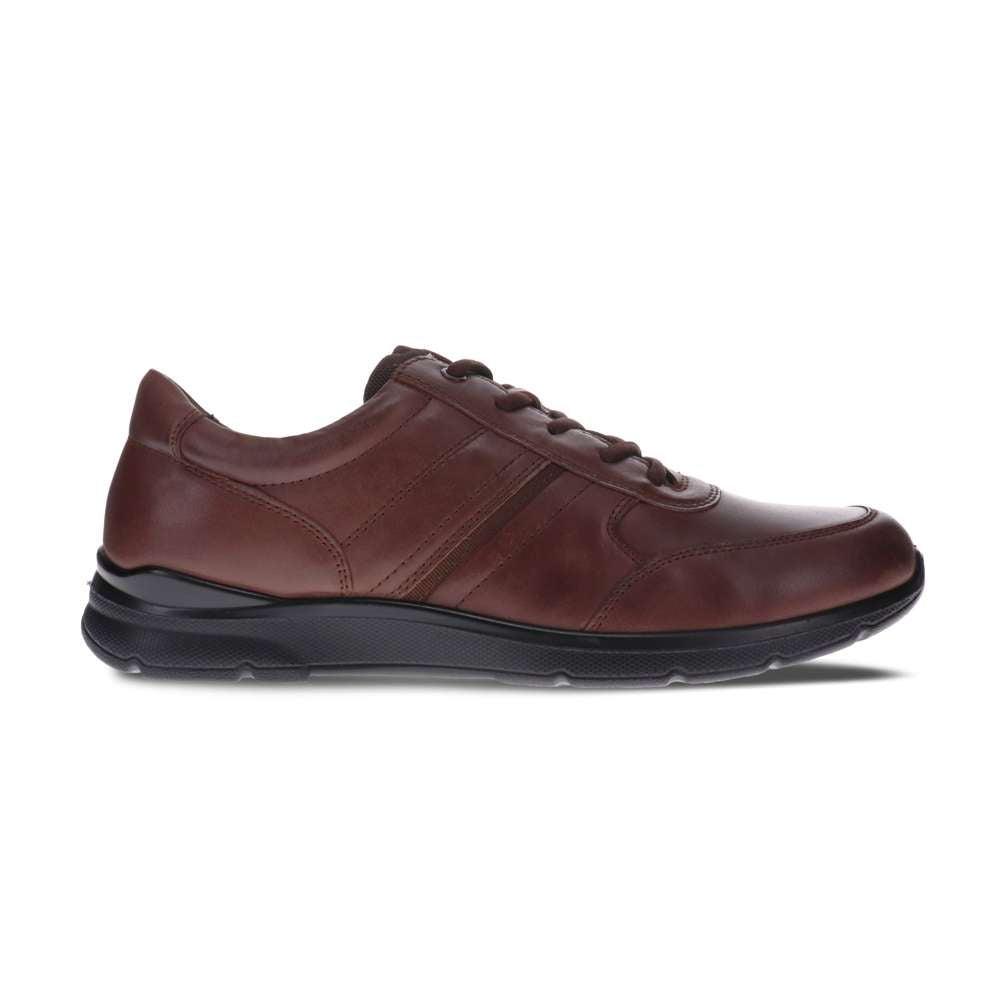 Baltimore Lace-Up Casual Sneaker - Brown
