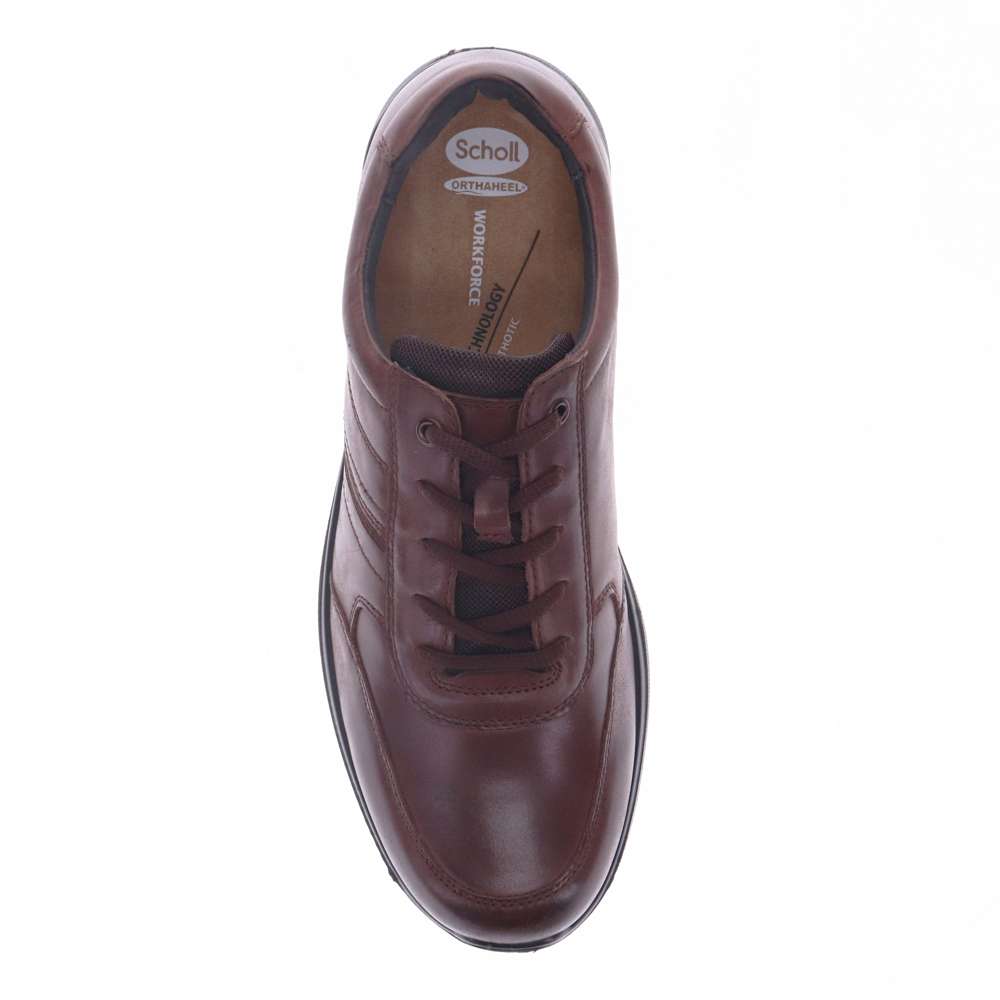 Baltimore Lace-Up Casual Sneaker - Brown