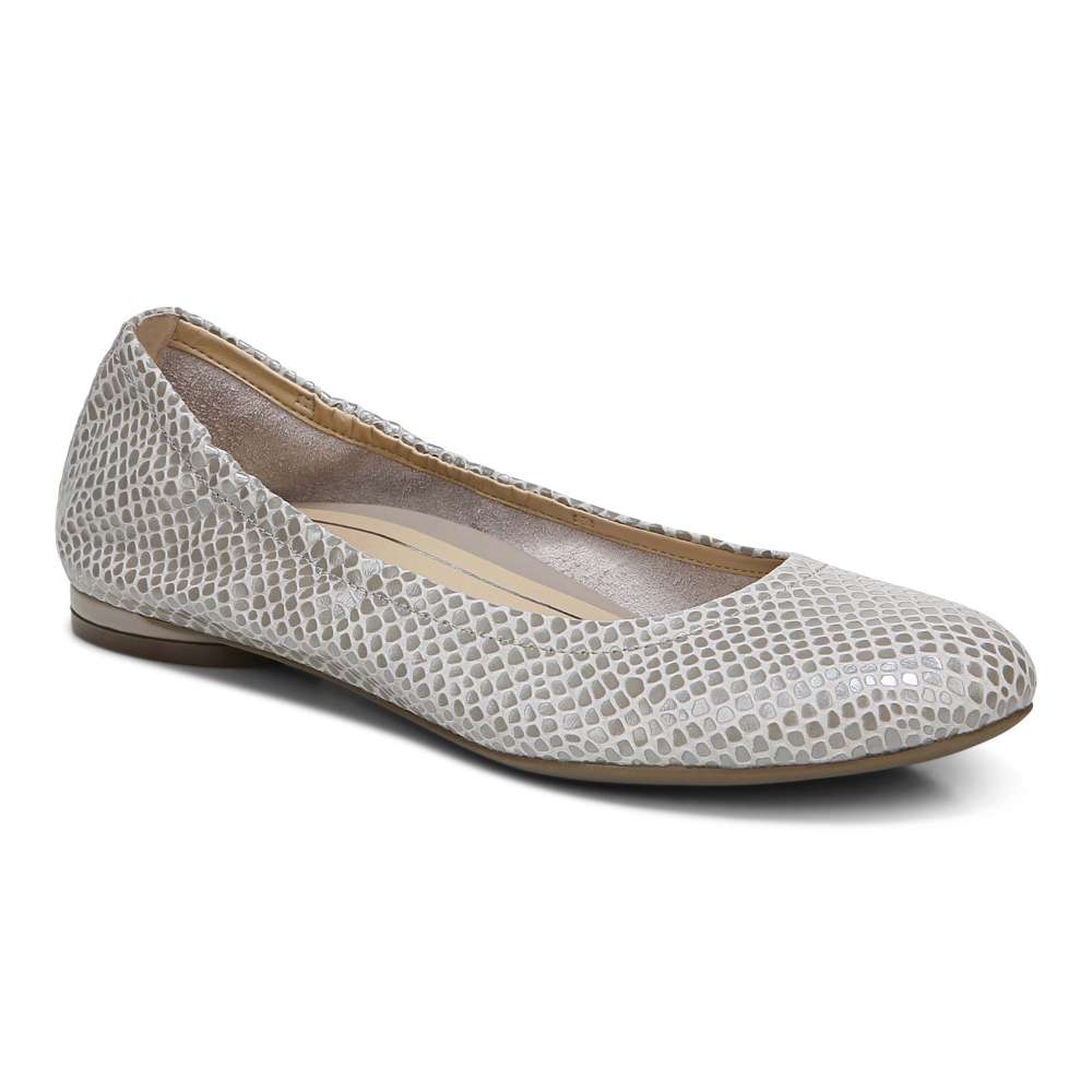 Alexa Flat - Aluminium Lizard